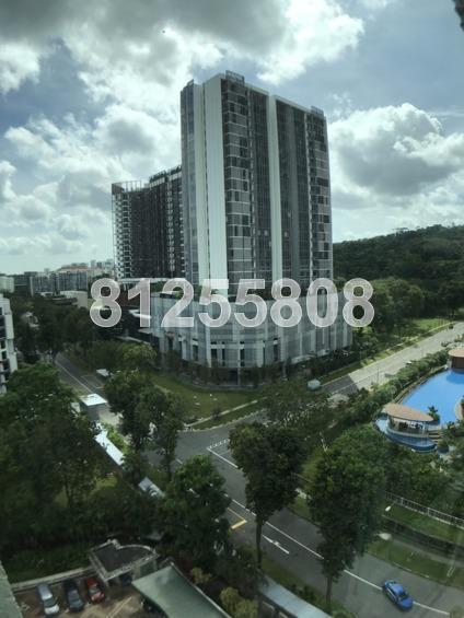 Hillview Park (D23), Condominium #157763732